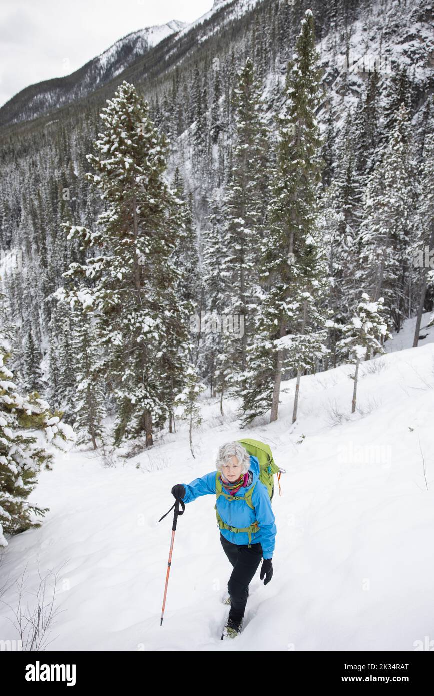 Ice mountain climber hi-res stock photography and images - Alamy