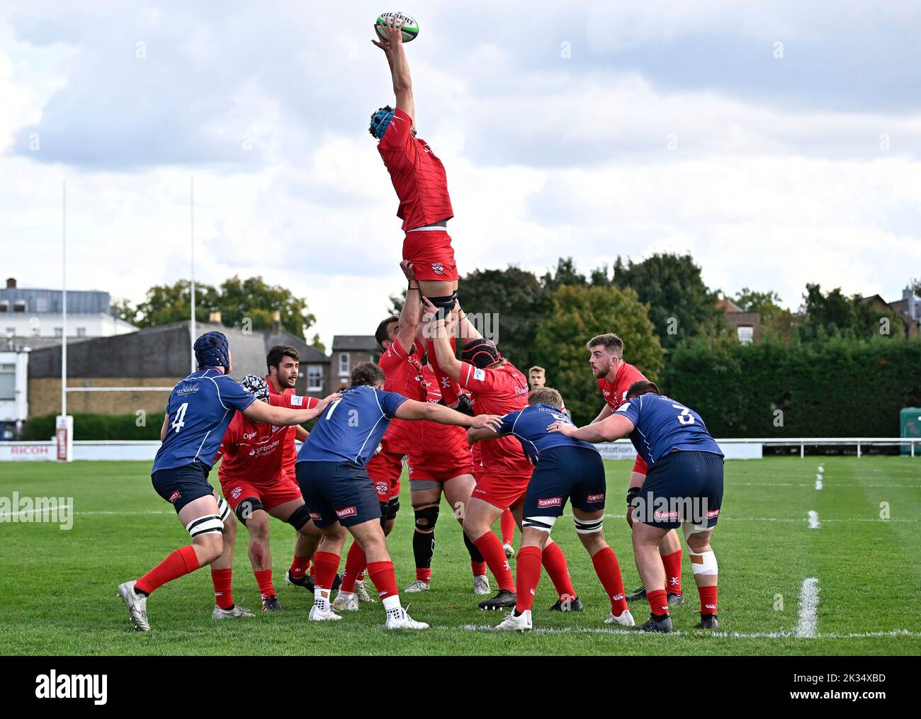 Richmond, United Kingdom. 24th Sep, 2022. Championship Rugby. London Scottish V Jersey Reds. The Richmond Athletic Ground. Richmond. James Scott (Jersey Reds) collects at the lineout during the London Scottish V Jersey Reds championship rugby match. Credit: Sport In Pictures/Alamy Live News Stock Photo