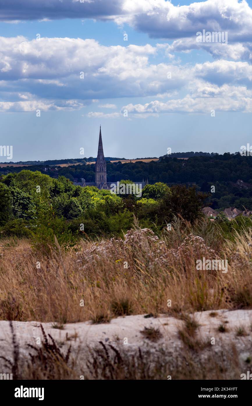 View of the spire of Salisbury cathedral from Castle Hill Country Park, Wiltshire, England Stock Photo