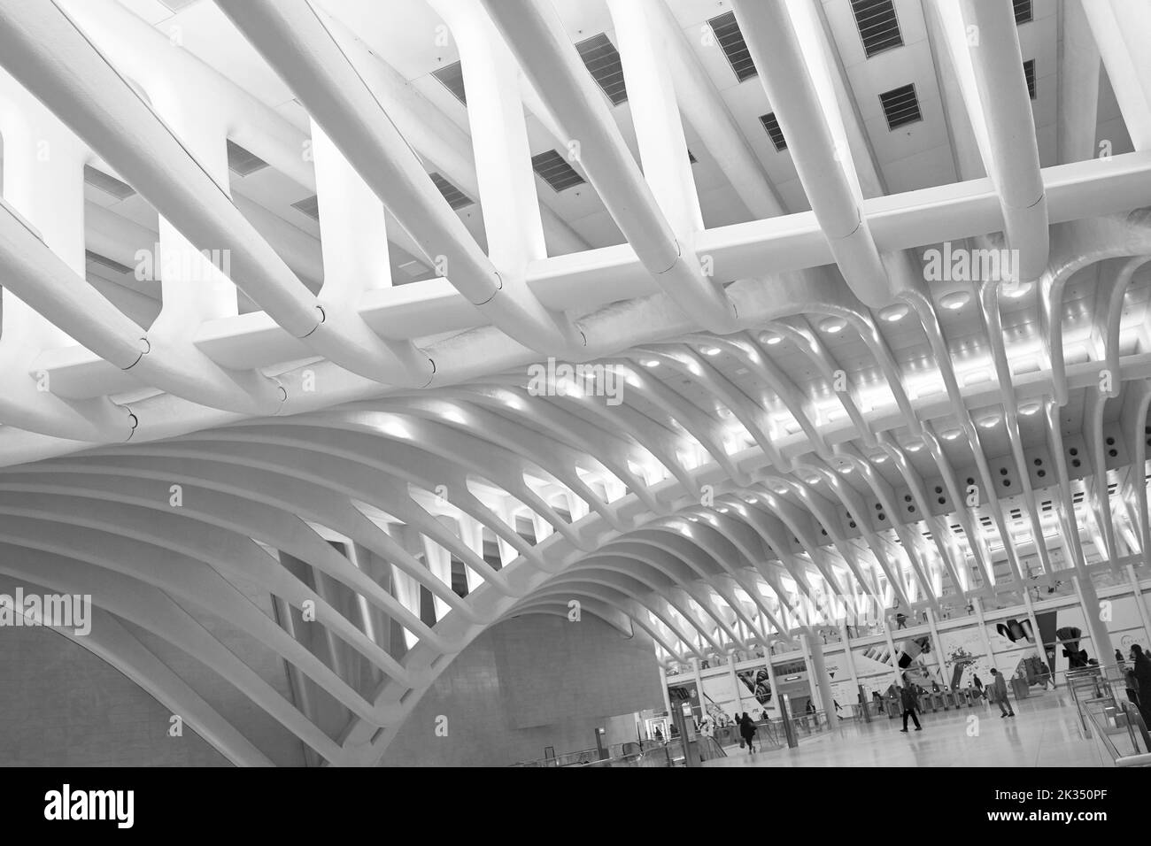 Detail of the bones or spine in the interior of the Oculus at The World Trade Center in Manhattan, NYC Stock Photo