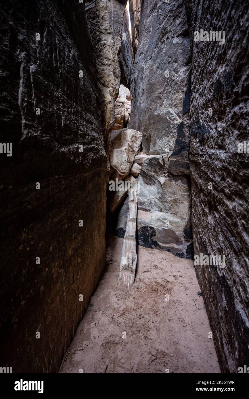 Log Ladder Asssists In Climbing A Boulder Jam In Slot Canyon in Canyonlands National Park Stock Photo