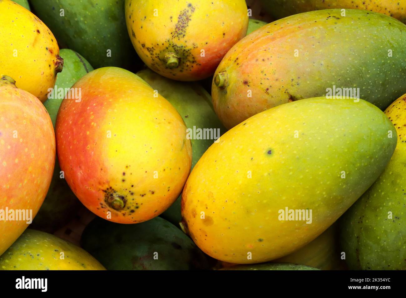 The king of fruits is mango Stock Photo Alamy
