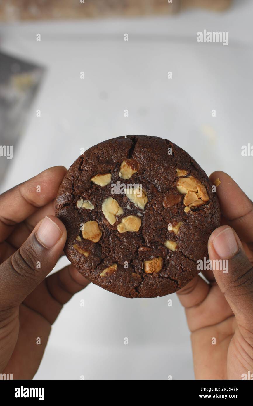 Top view of hand holding triple chocolate chip cookie, flat lay of dark chocolate cookie, chocolate cookie in female hands Stock Photo
