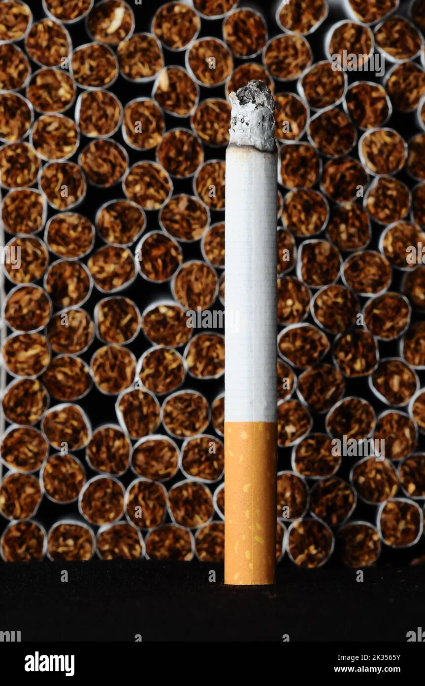 shots cigarettes A vertical shot of a burning cigarette with a background of many cigarettes  Stock Photo