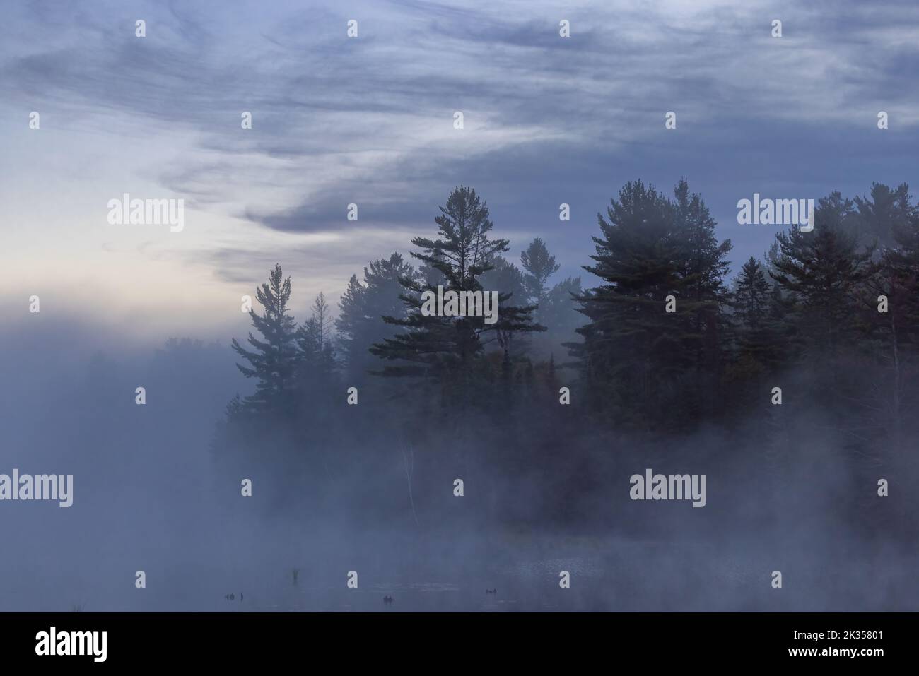 Fog rising on a wilderness lake in Clam Lake, Wisconsin. Stock Photo