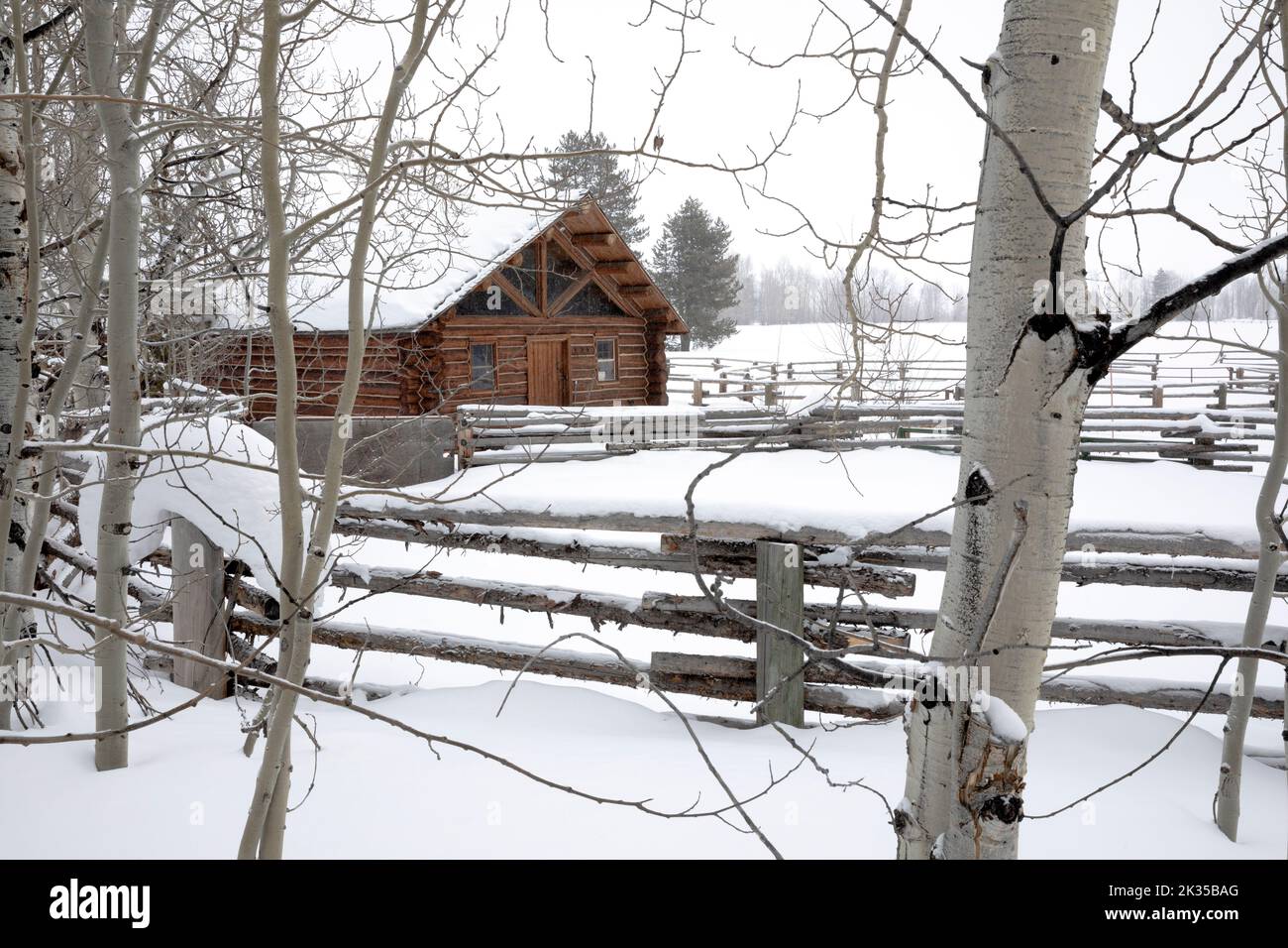 WY05058-00.....WYOMING - Cabin at the horse corral in Grand Teton National Park. Stock Photo