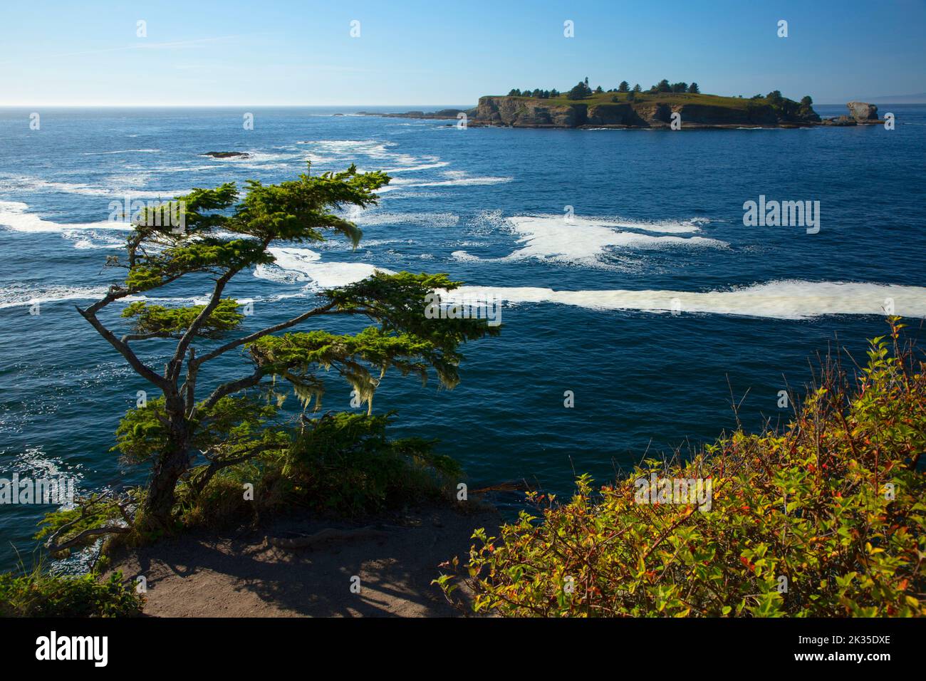 Cape Flattery Trail views, Neah Bay, Makah Indian Reservation, Washington Stock Photo