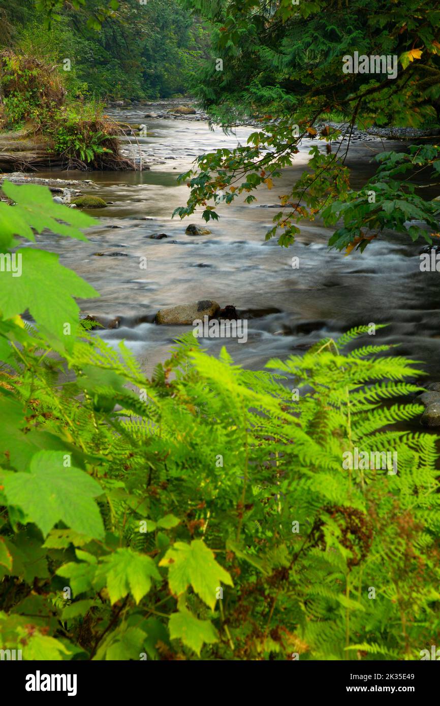 Lyre River, Olympic Peninsula Forests (DNR), Strait of Juan de Fuca