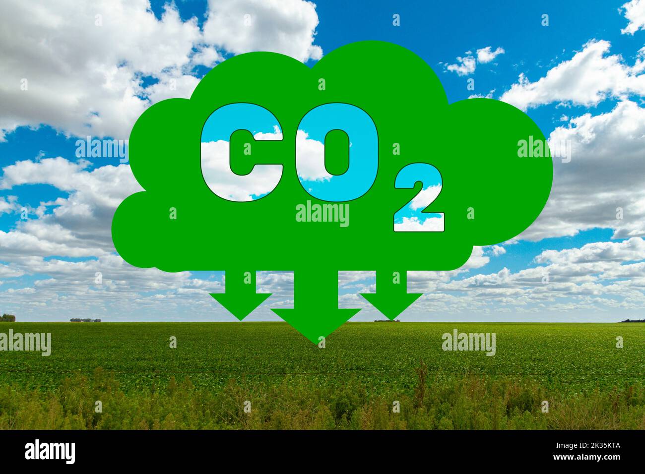 Drawing representing the absorption of carbon dioxide by the field. Concept of climate change, environmental care, atmosphere and pollution, science. Stock Photo