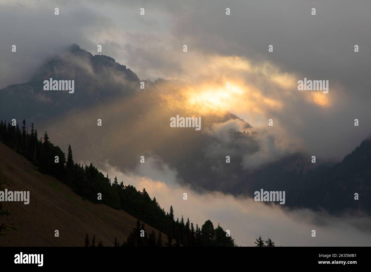 Sunray through fog from Hurricane Hill Trail, Olympic National Park, Washington Stock Photo