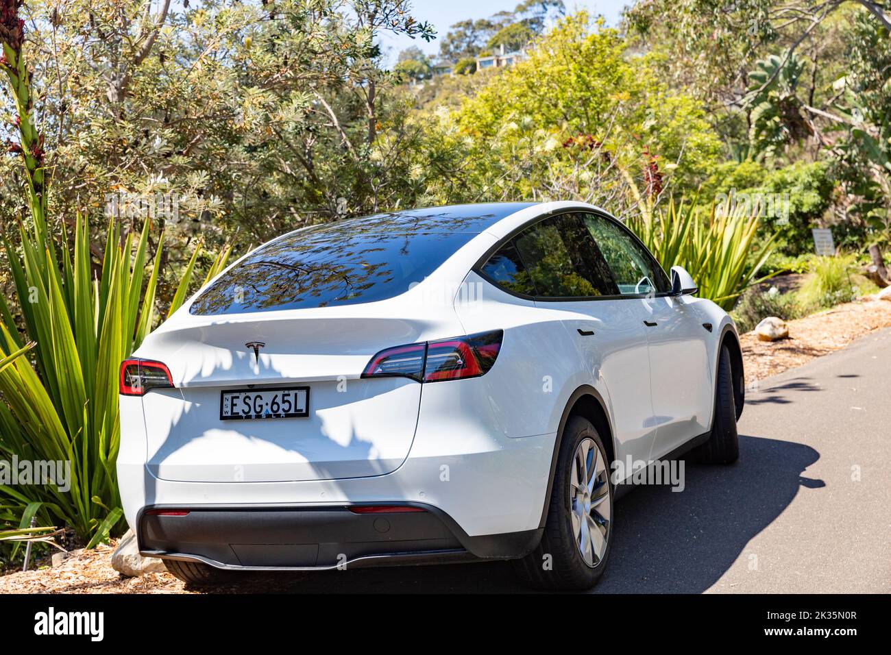 2022 model Tesla Model Y in white 4 door EV parked in Whale beach suburb,Sydney,NSW,Australia Stock Photo