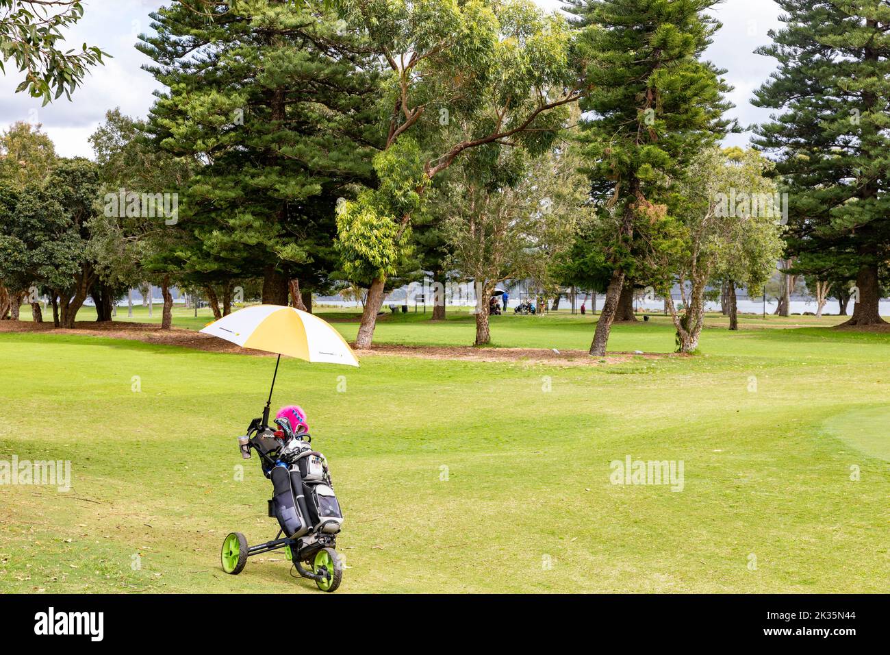 Palm Beach golf course in Sydney beside Pittwater, with golf buggy,golgf bag and umbrella beside a green,Sydney,Australia Stock Photo