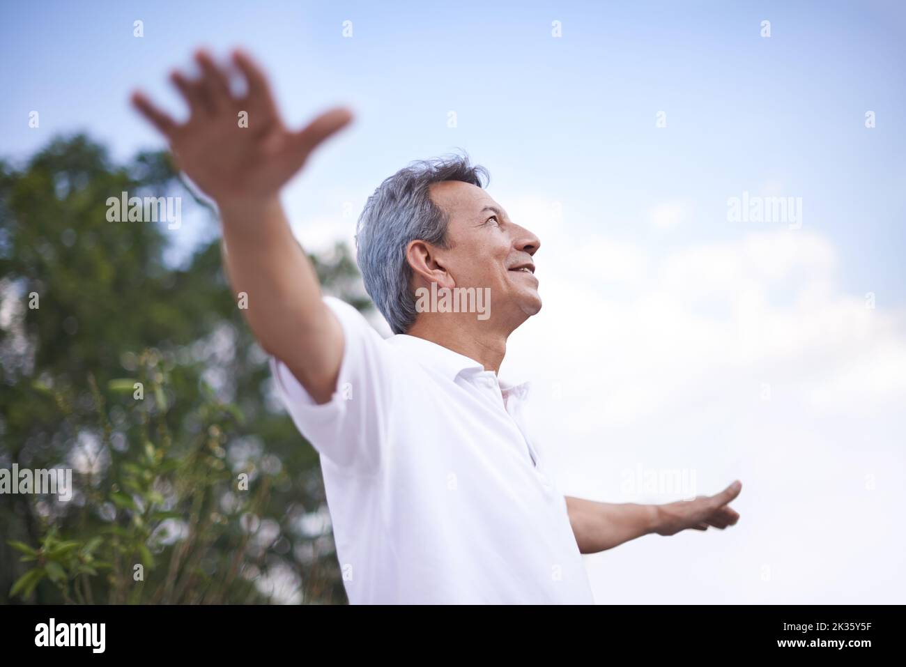 Handsome mature man hi-res stock photography and images - Alamy