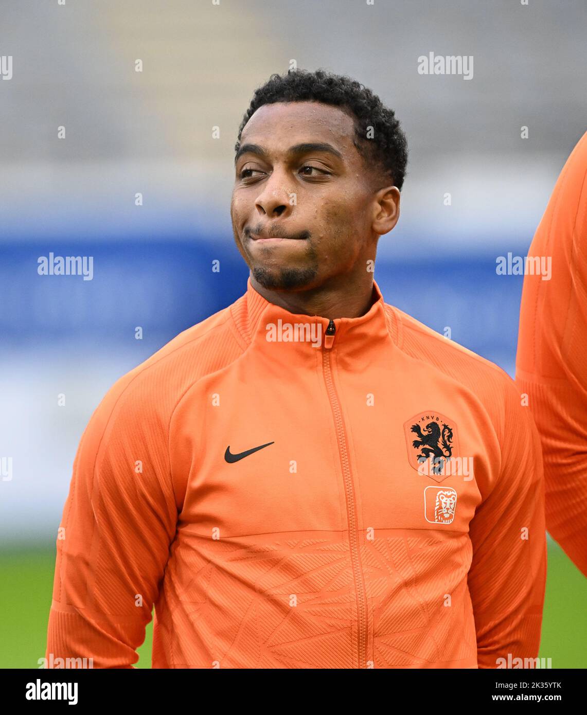 Quinten timber hires stock photography and images Alamy