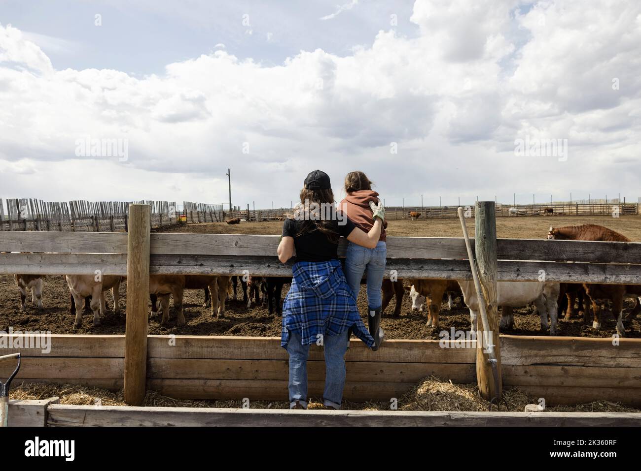 Mother and daughter ranchers watching cattle at fence on sunny ranch Stock Photo Alamy