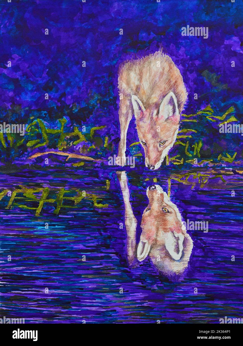 Painting of Fox  with reflection in water Stock Photo