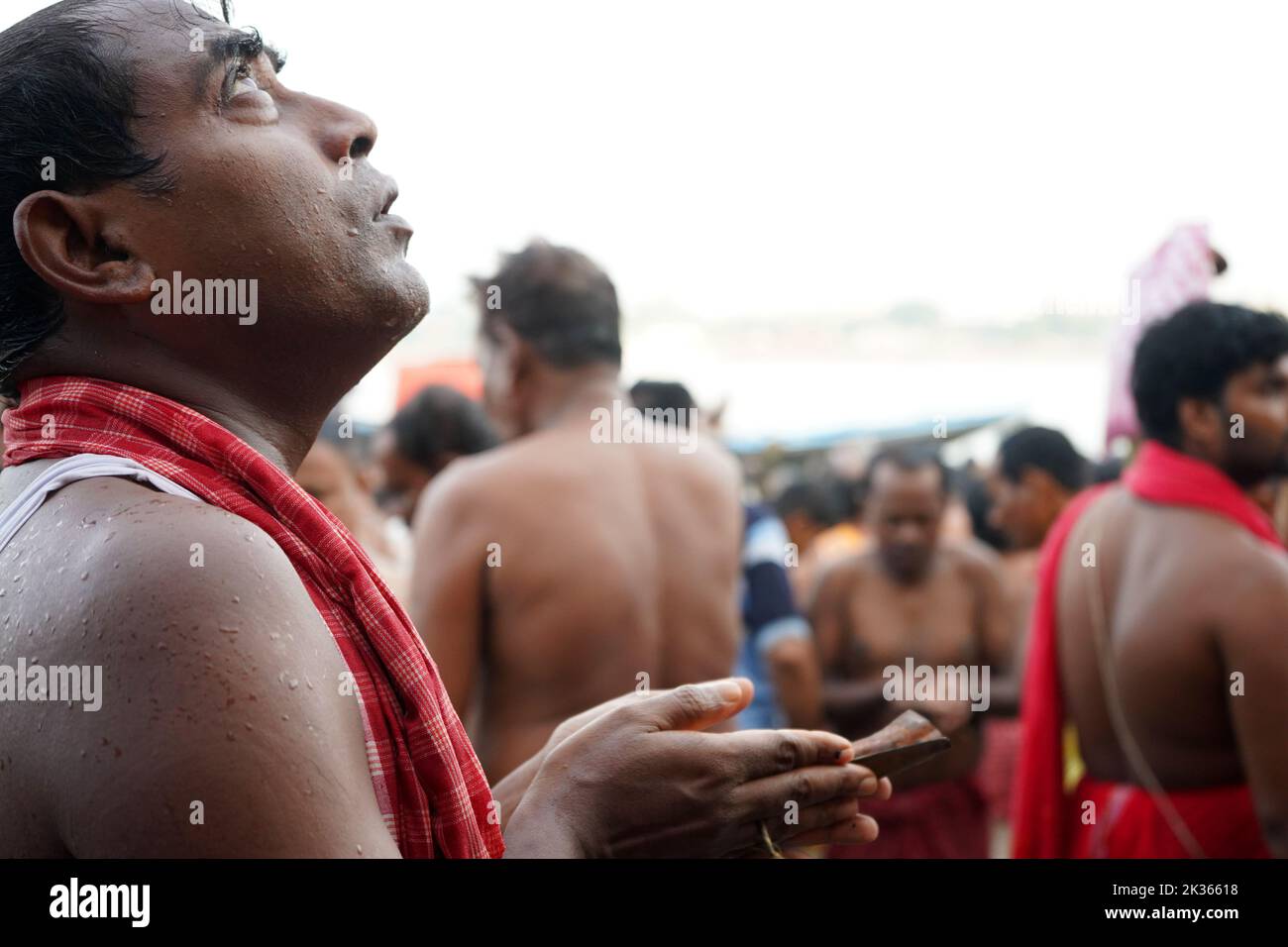 Tarpan photos hi-res stock photography and images - Alamy