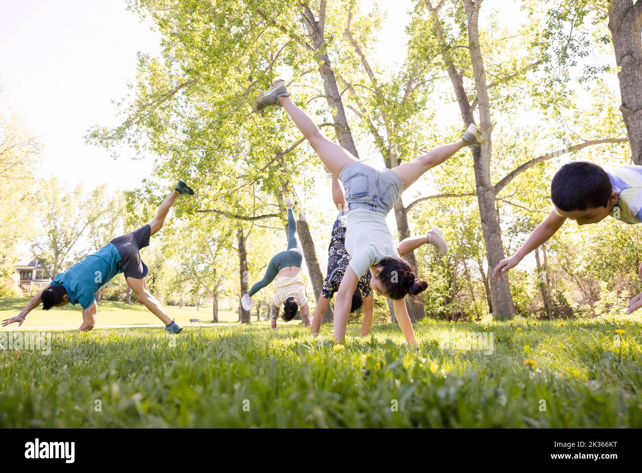 Family doing handstand on grass in park Stock Photo