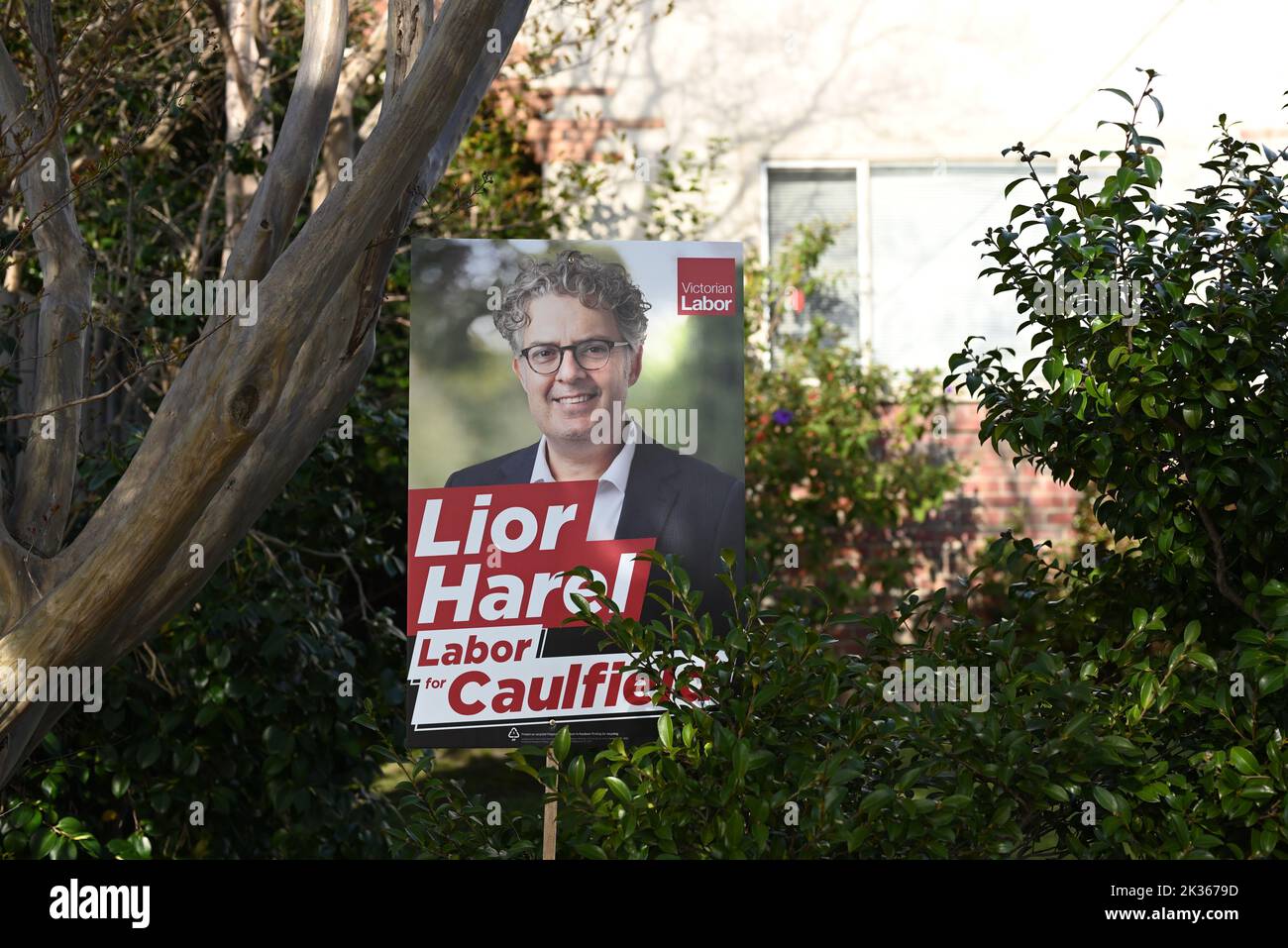 Sign promoting the candidacy of the Australian Labor Party's Lior Harel for the seat of Caulfield in a garden, partially obscured by a plant Stock Photo