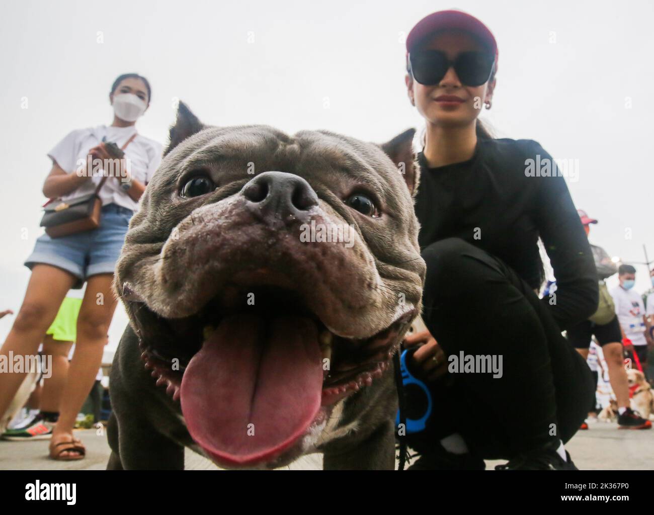 Pasig City, Philippines. 25th Sep, 2022. A woman is seen with her pet dog during the 'Run Fur Life' marathon in Pasig City, the Philippines, Sept. 25, 2022. The 'Run Fur Life' is a fundraising event for the benefit of maltreated, abandoned, and homeless dogs and also aims to promote animal welfare and responsible pet ownership. Credit: Rouelle Umali/Xinhua/Alamy Live News Stock Photo