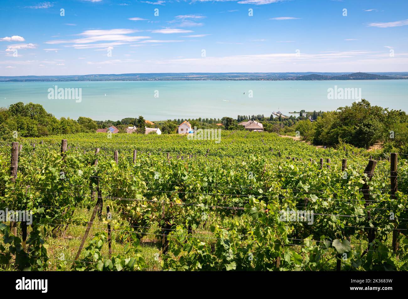 Vineyards on volcanic hills along the northwestern shore of lake Balaton, Hungary Stock Photo