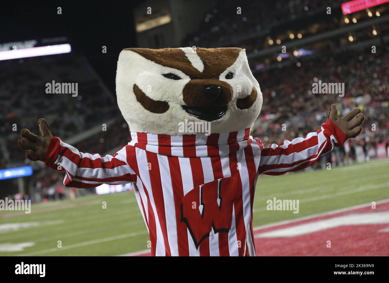 Columbus, United States. 24th Sep, 2022. The Wisconsin Badgers mascot celebrates a touchdown against the Ohio State Buckeyes in the second half in Columbus, Ohio on Saturday, September 24, 2022. Photo by Aaron Josefczyk/UPI Credit: UPI/Alamy Live News Stock Photo