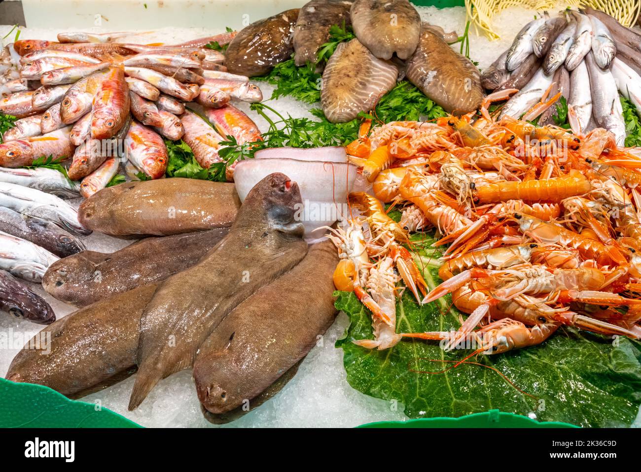 Fish and seafood on ice seen at a market in Barcelona, Spain Stock Photo