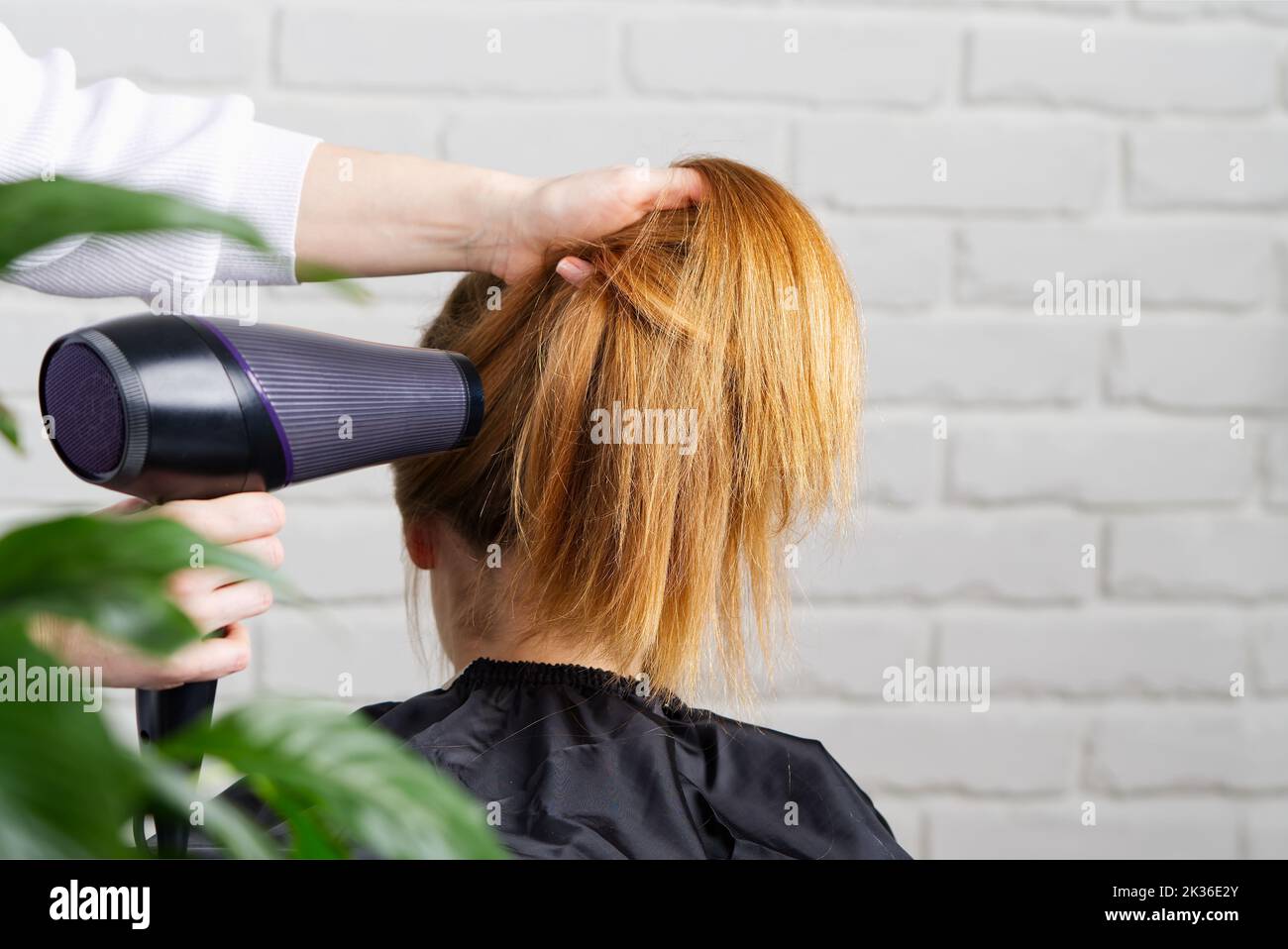 Beautiful young woman at the hairdresser blow drying her hair. Hair dryer in salon Stock Photo