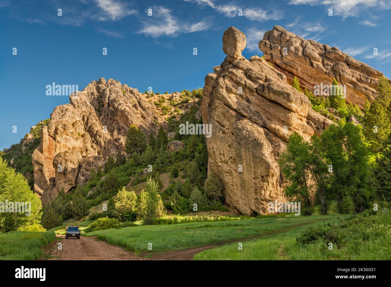 Conglomerate rocks, Reddick Canyon, Chicken Creek Road, FR 101, San Pitch Mountains, Uinta National Forest, Utah, USA Stock Photo