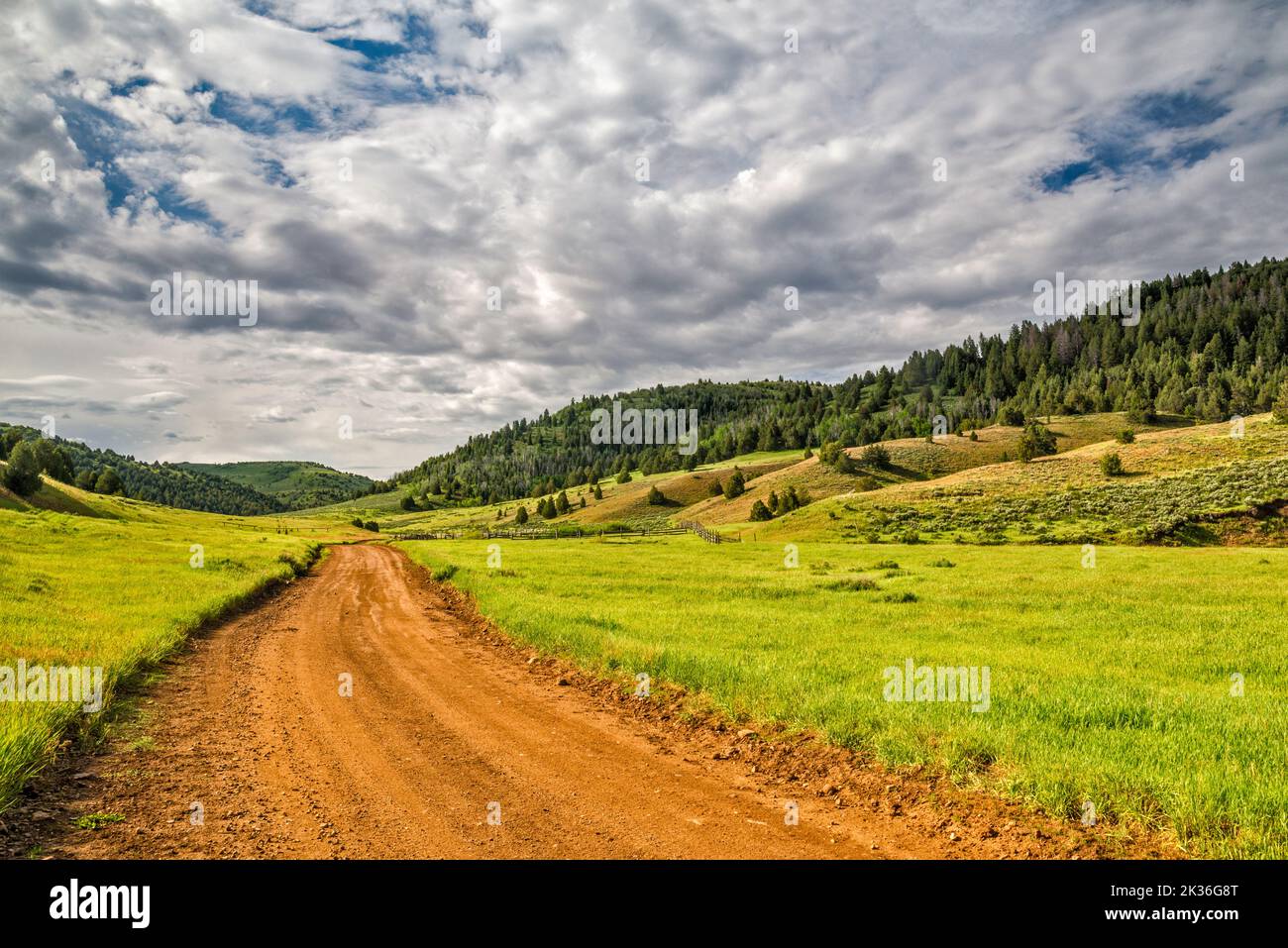 Rees Valley, Chicken Creek Road, FR 101, San Pitch Mountains, Uinta National Forest, Utah, USA Stock Photo