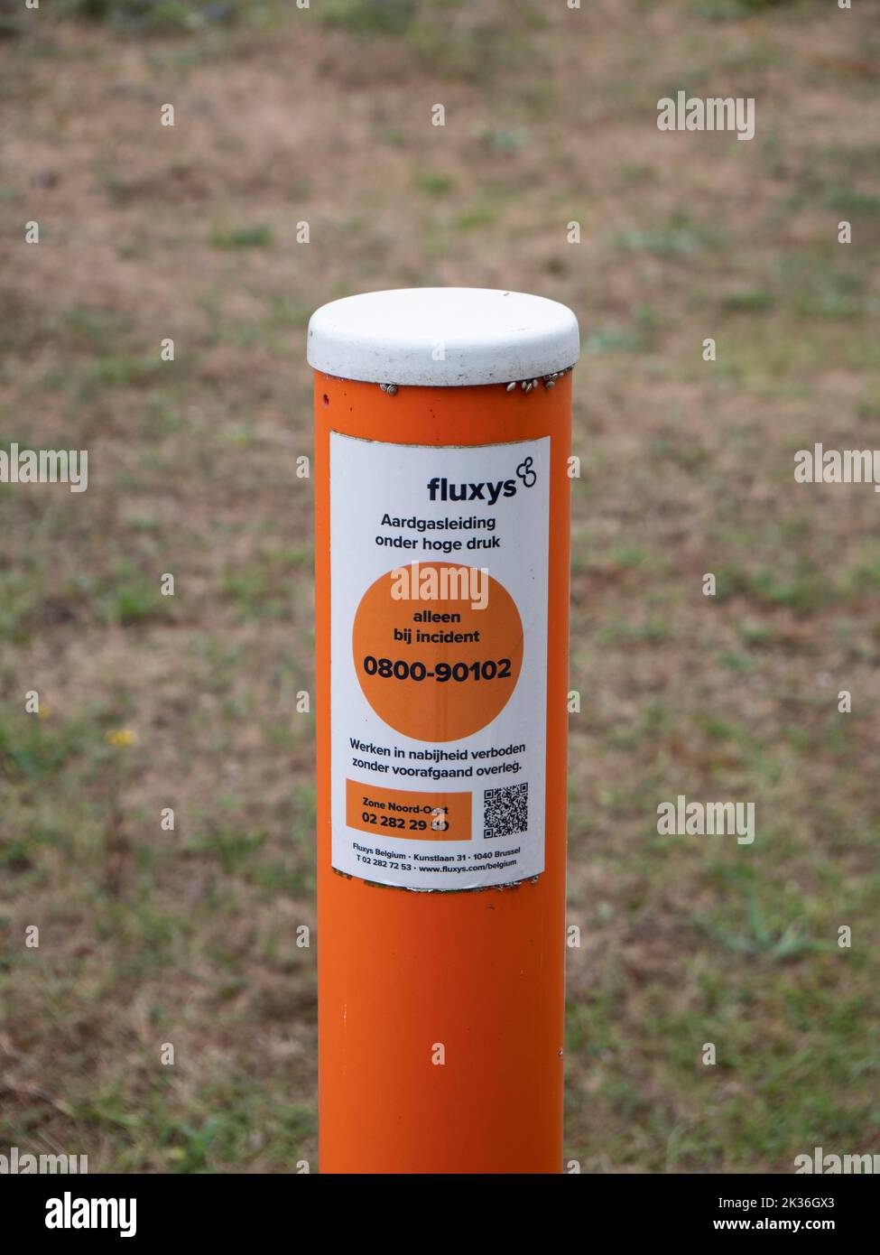 Lillo, Belgium, 31 July 2022, Orange pole with the text, Fluxys, Natural gas pipeline under high pressure, Calling only in case of incident and workin Stock Photo