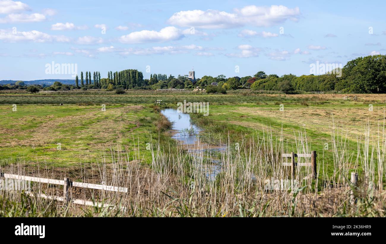 Landscape with Wareham Church in the distance Stock Photo