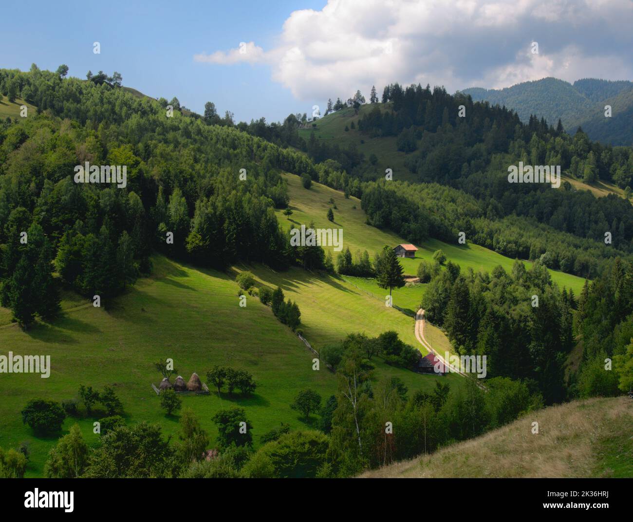 green mountain landscape, Carpathian mountains, Romania. Stock Photo