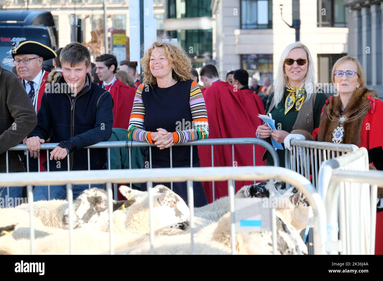 Kate humble london sheep drive hi-res stock photography and images - Alamy