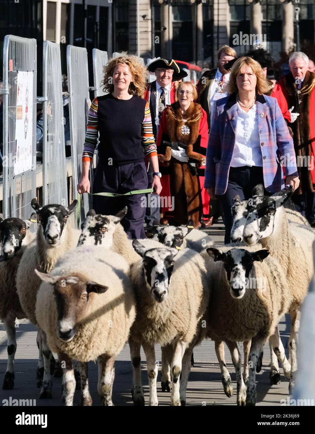 London Bridge, London, UK. 25th Sept 2022. The annual London Sheep Drive across London Bridge by The Worshipful Company of Woolmen. Kate Humble. Credit: Matthew Chattle/Alamy Live News Stock Photo