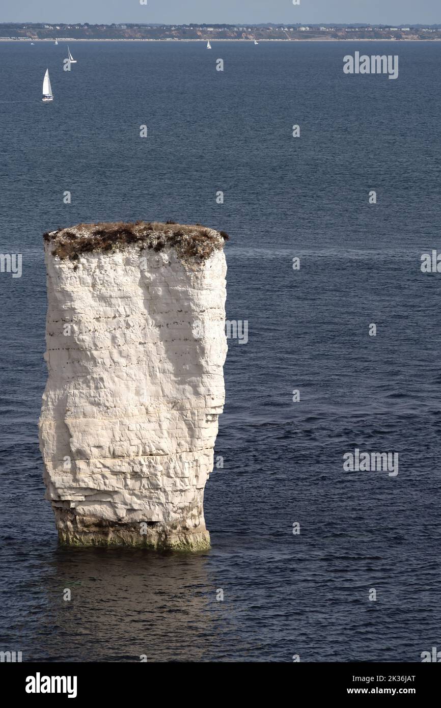 View of Old Harry Rocks at Handfast Point, on the Isle of Purbeck in Dorset Stock Photo