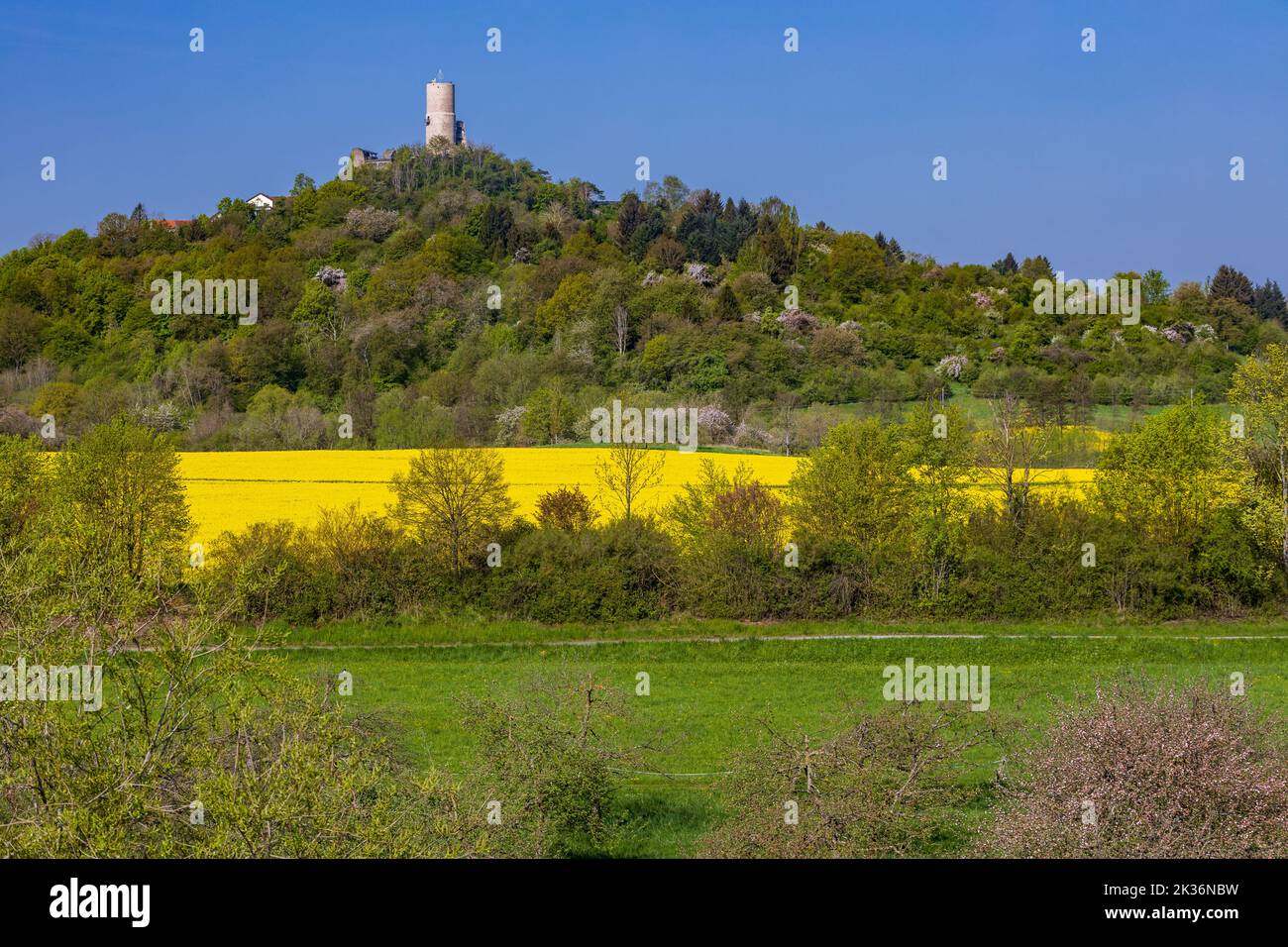 remains of Vetzberg castle on top of Vetzberg hill, an extinct volcano, surrounded by spring landscape and rape fields in Biebertal, Hesse, Germany Stock Photo