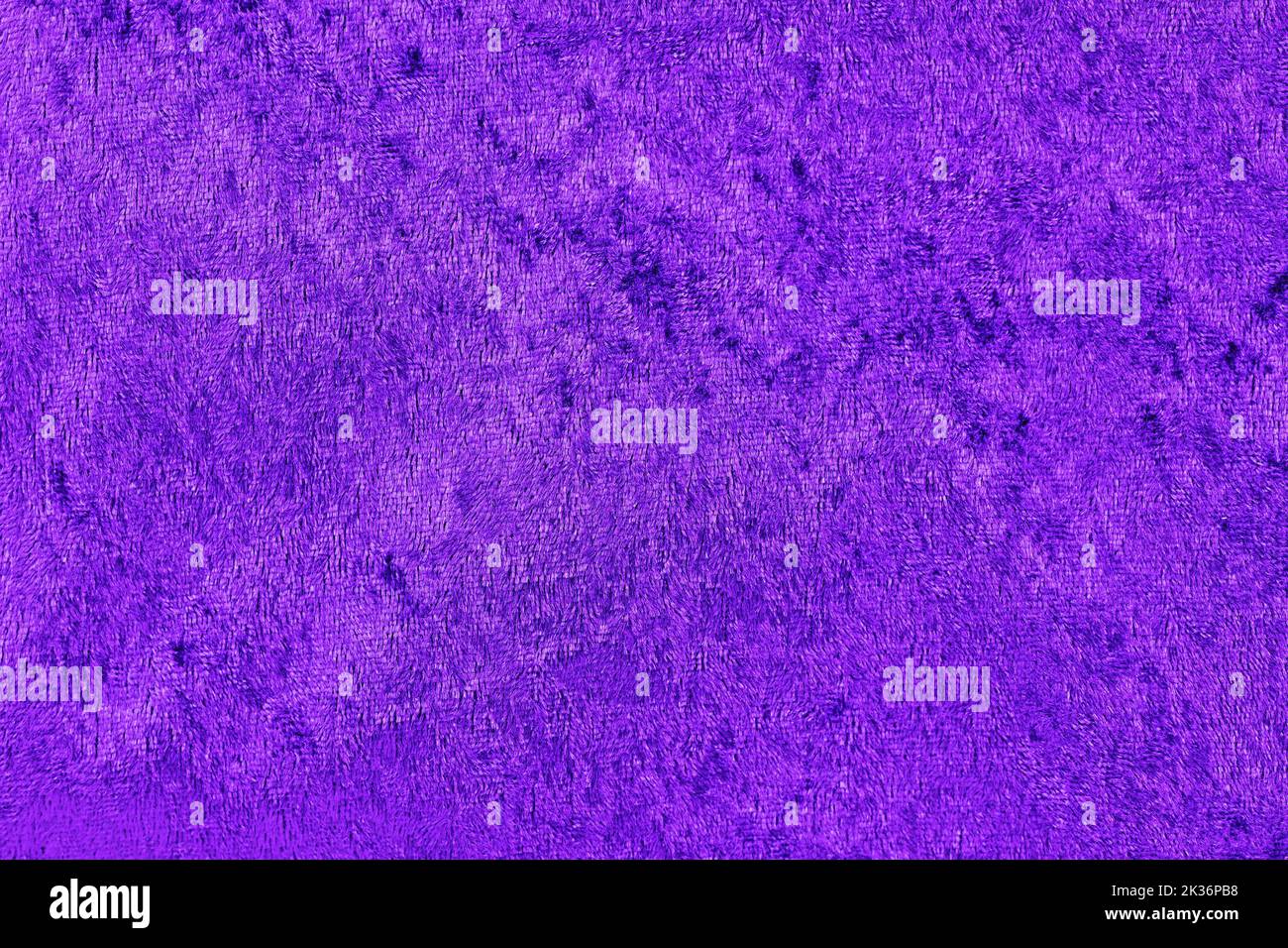 Violet panne velvet textile texture Stock Photo