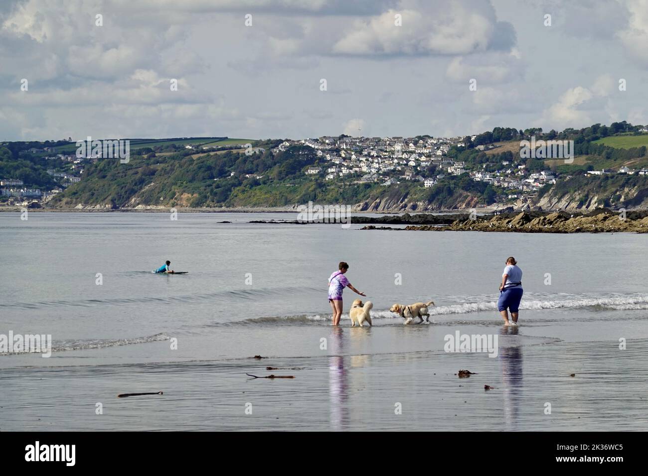 Seaton, Cornwall, UK. 25th Sep, 2022. Dog walkers enjoying blue skies and a sunshine on the coast of Cornwall. Credit: Julian Kemp/Alamy Live News Stock Photo