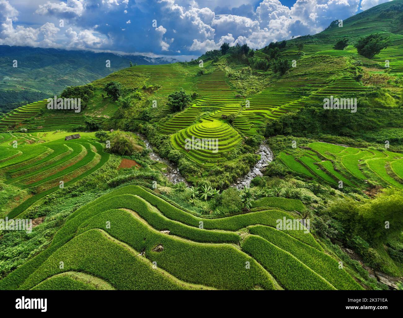 Aerial view of Rice terraces in Mu cang chai, Vietnam Stock Photo - Alamy
