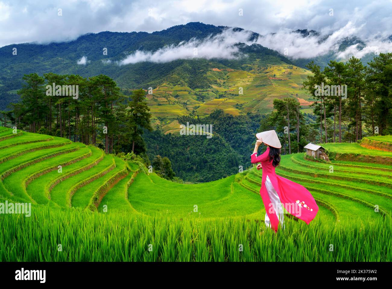 Asian woman wearing Vietnam culture traditional in Rice terrace at Mu cang chai, Vietnam. Stock Photo
