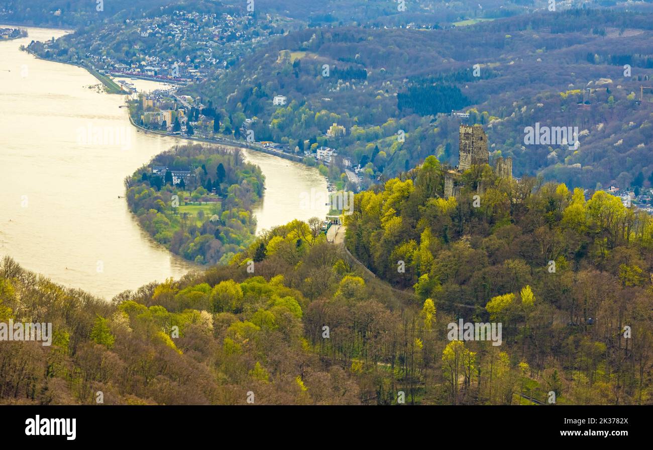 Aerial view, Drachenfels, medieval castle ruin with view to Rhine valley and Nonnenwerth island, Drachenfelsbahn, Königswinter, Rhineland, North Rhine Stock Photo