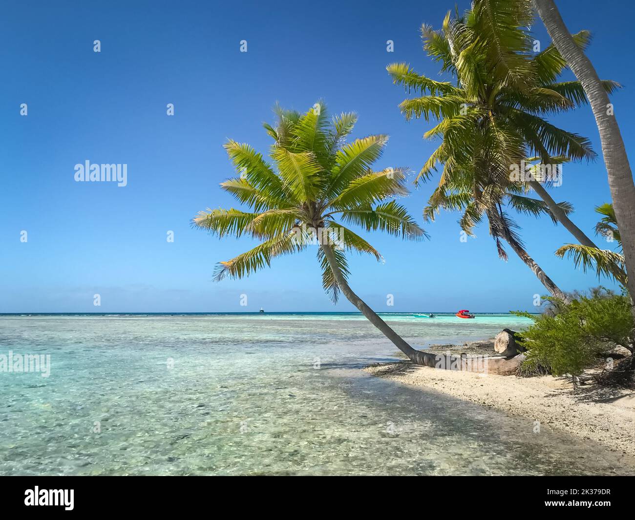 Maldives crystal sea water beach, blue sky and palm trees on white sand shore. Perfect tropical landscape. Untouched nature tropical beach scene. Design of summer vacation, travel, holiday concept. Stock Photo