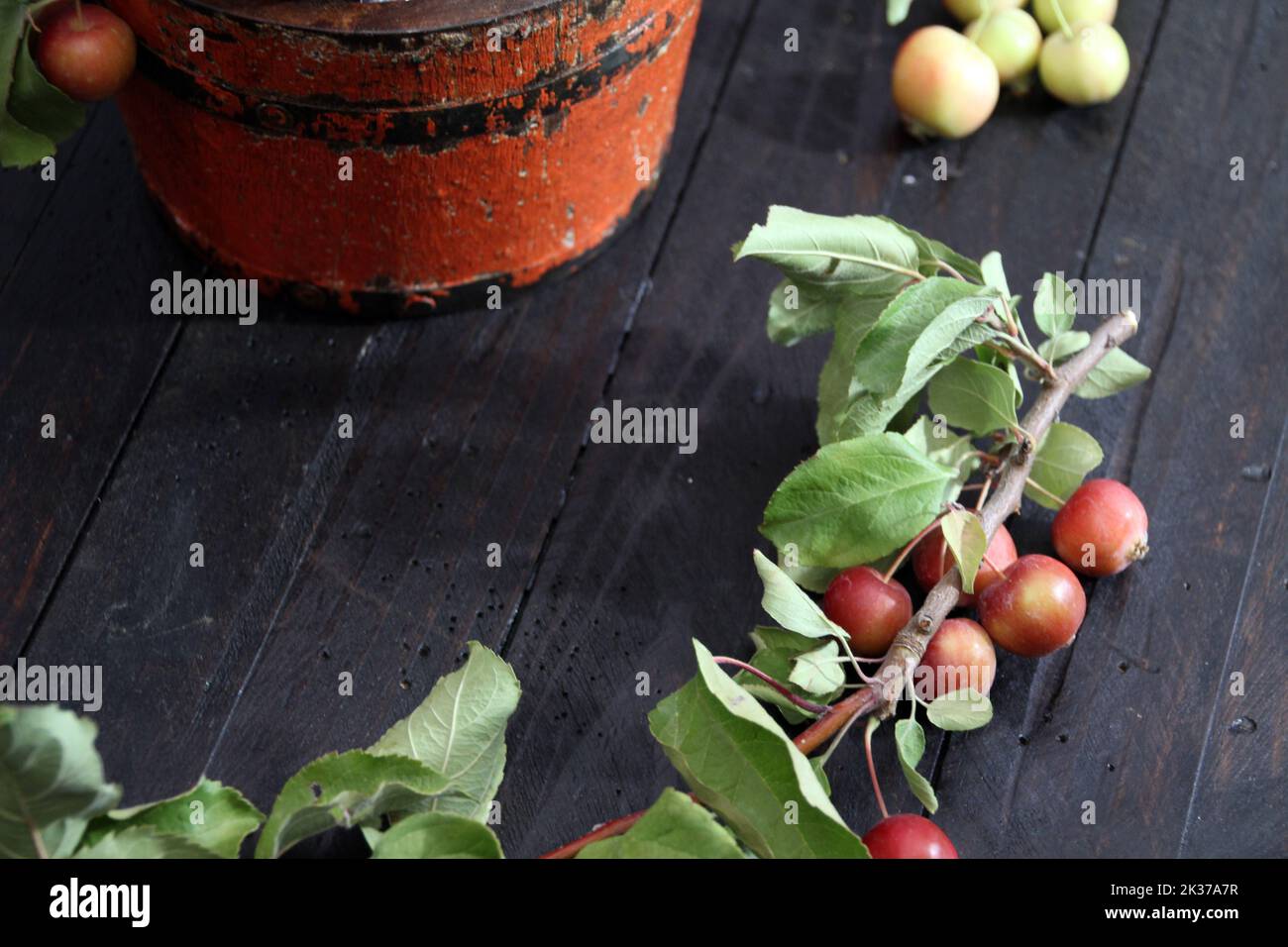 A closeup shot of a branch of Malus prunifolia fruit on a wooden table Stock Photo