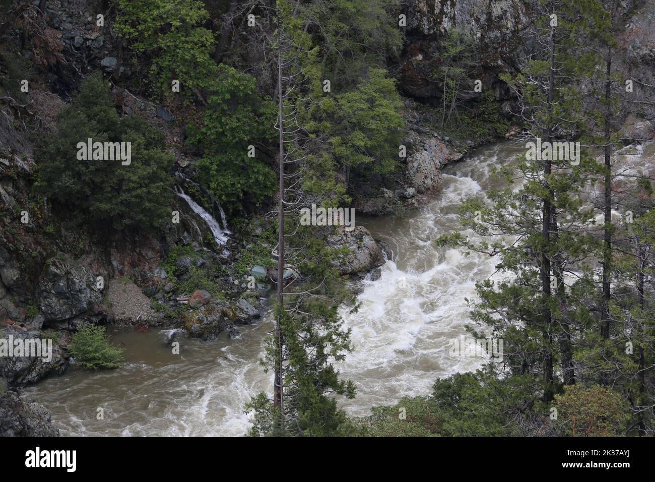 A powerful river flowing through the forest Stock Photo - Alamy