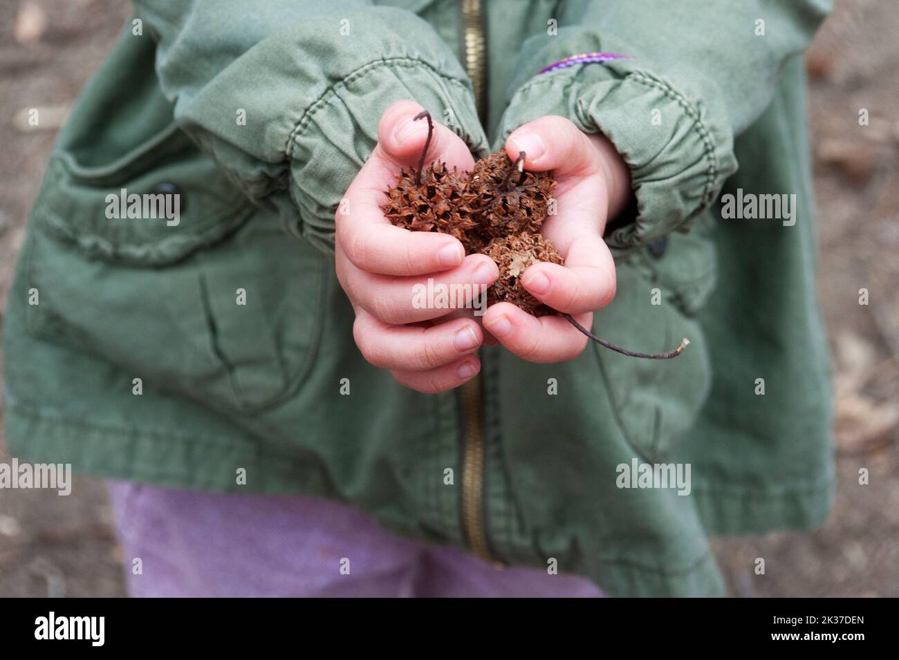 Little girl with seed pod Stock Photo
