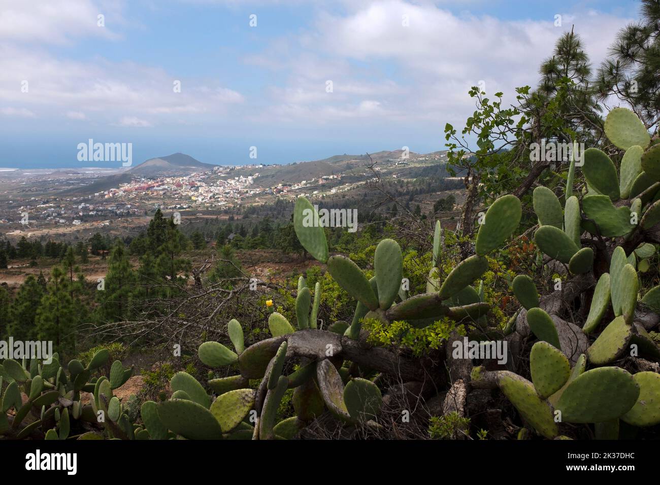 Granadilla de Abona, Tenerife, Canary Islands Stock Photo
