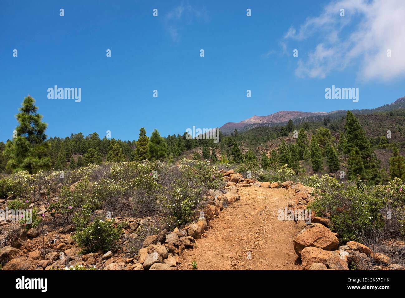 Sendero de pequeno recorrido tenerife hi-res stock photography and