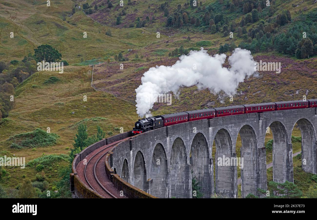 Jacobite Steam Train, Glenifinnan Viaduct, Lochaber, Scottish Highlands, Scotland, UK Stock Photo
