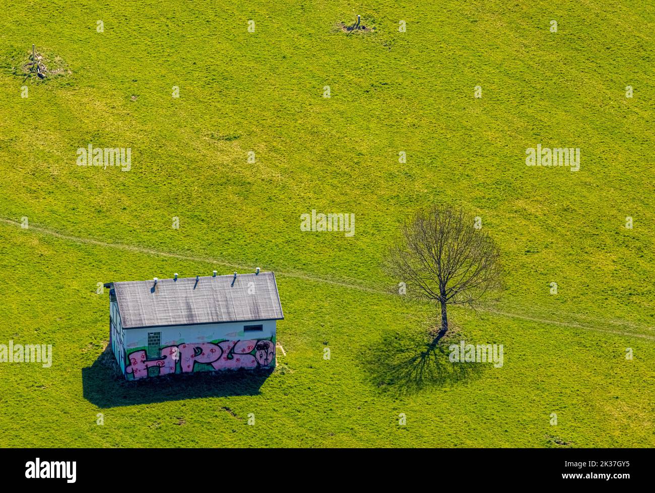 Aerial view, tree and hut with graffiti on a meadow, Volmarstein, Wetter, Ruhr area, North Rhine-Westphalia, Germany, Tree, DE, Europe, Shapes and col Stock Photo